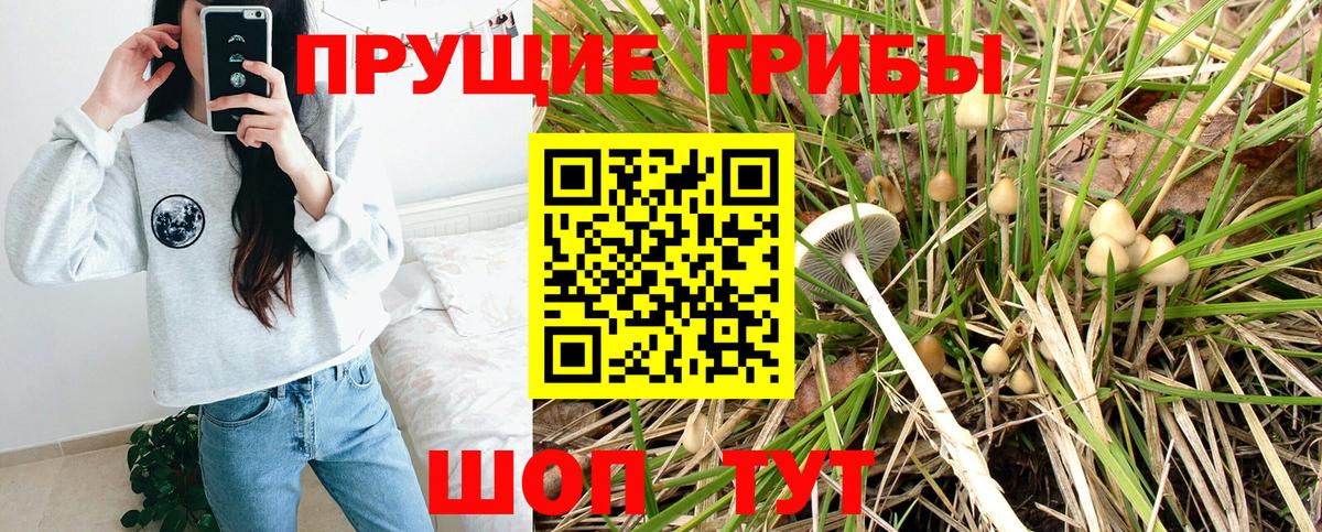 Галлюциногенные грибы мицелий  Вход с VPN  Миллерово 